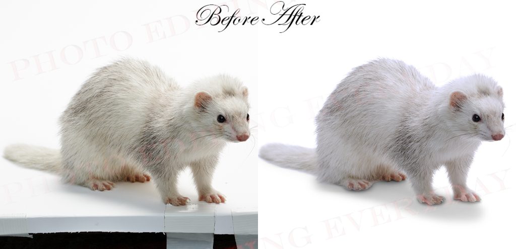 Image Masking